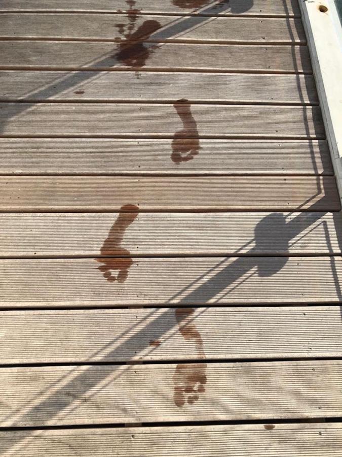 Hausboot Elandi Villa Bitterfeld-Wolfen Екстериор снимка